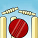 Quick Cricket